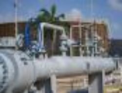 Strategi Perluasan Bisnis PT Petrosea dengan Akuisisi Hafar