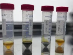 Kebijakan Baru Terkait Vape dan Narkoba di Indonesia