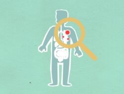 Berita Hari Ini Terbaru: Update Lengkap dan Insight Eksklusif untuk Pembaca Cerdas